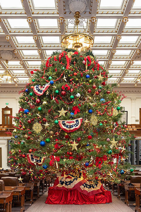 image of the Capitol Tree